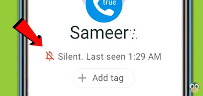 What does this Truecaller Silent Icon Mean