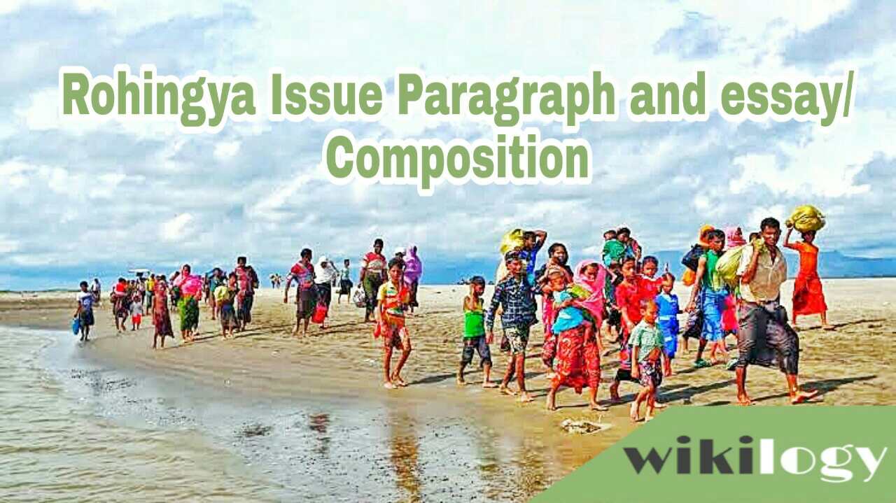 What caused the rohingya crisis image