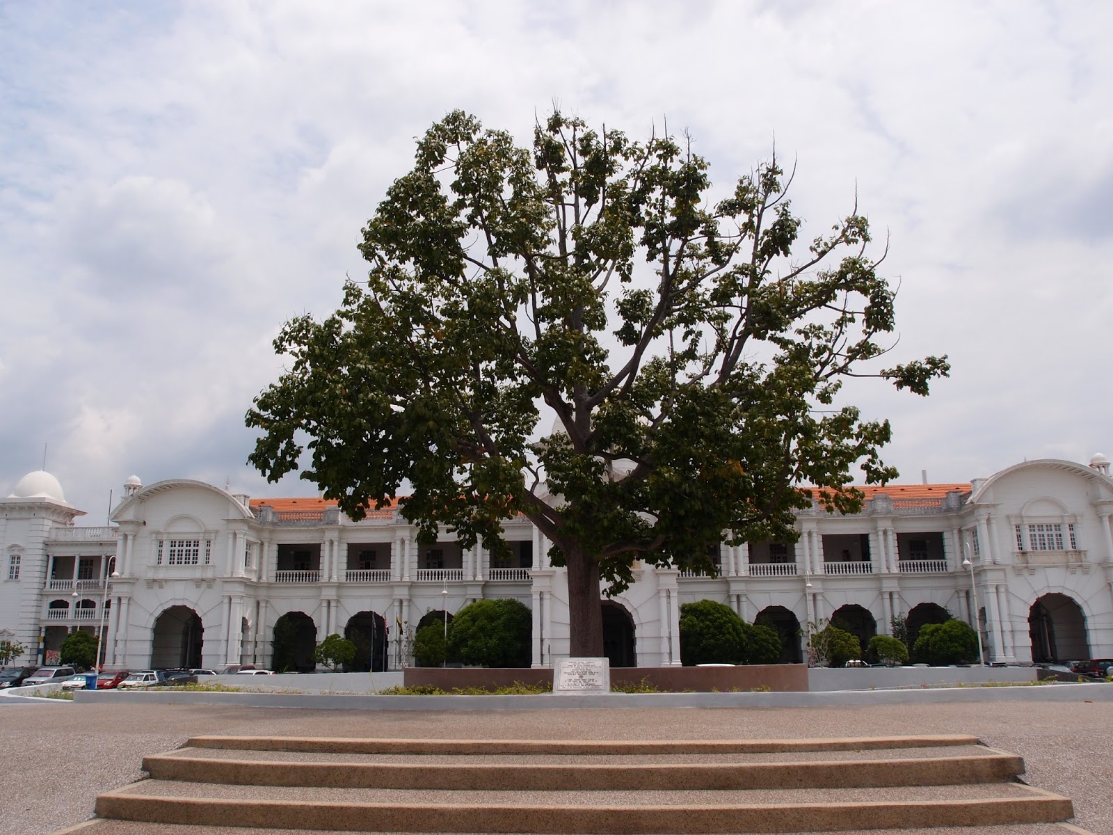 Xing Fu: A TREE NAMED IPOH