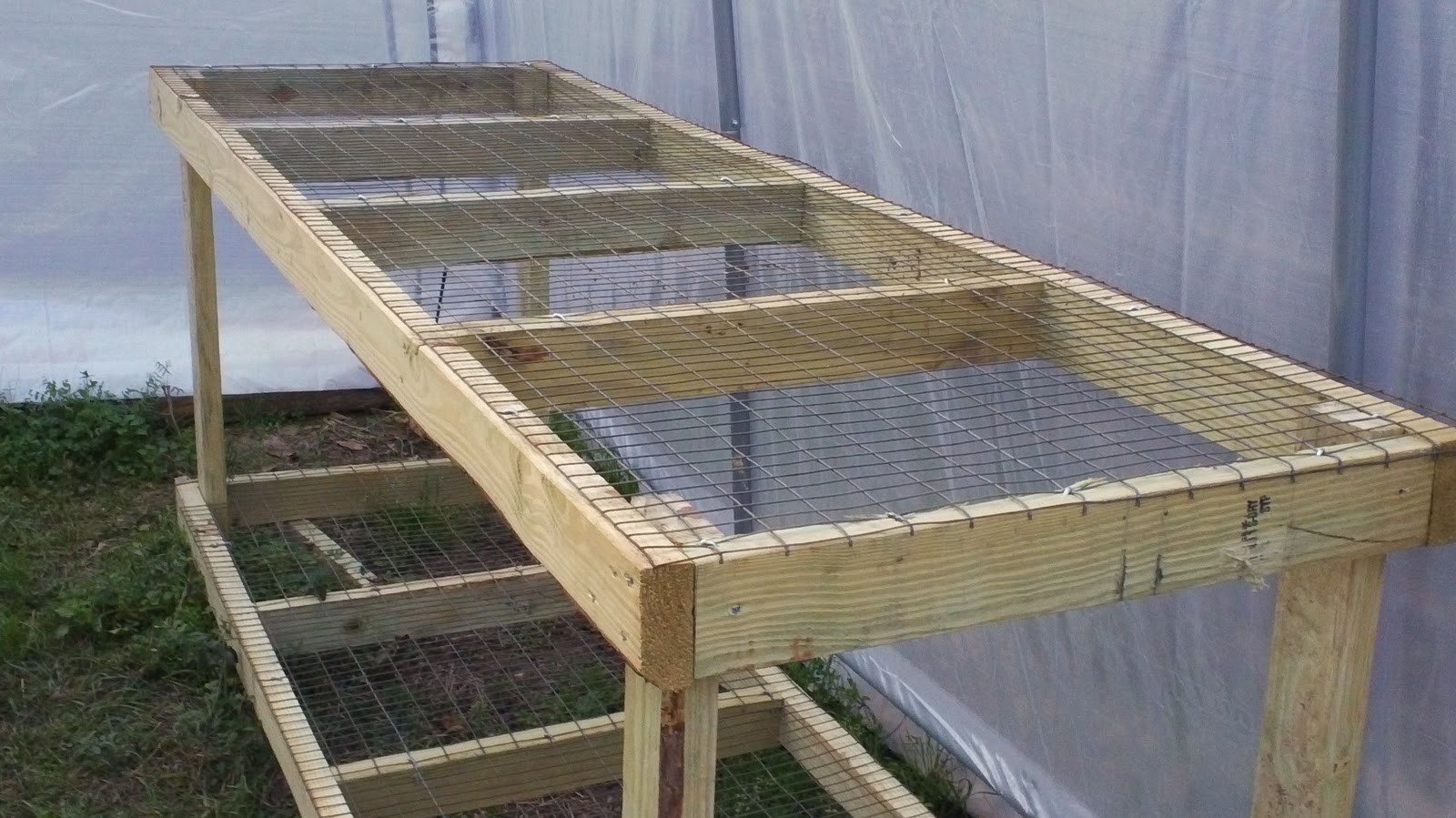 Bunnings Table Top Greenhouse at Carolyn Perez blog