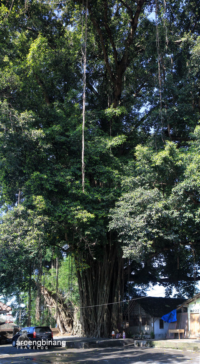 makam raja-raja mataram kotagede