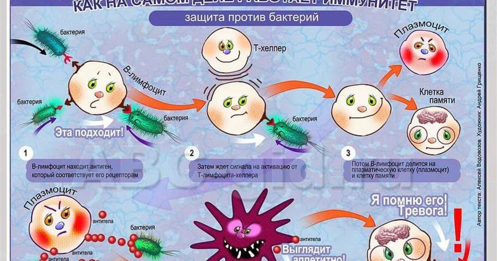 Сохраняйте здоровье с миндалем