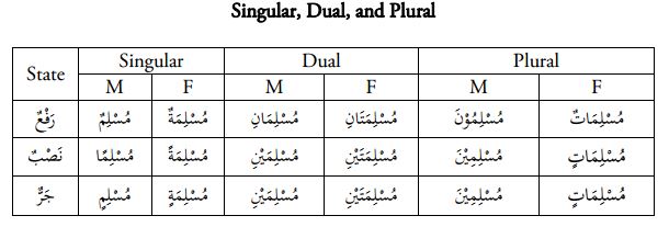 Singular dual plural dalam bahasa Arab - Ten Lessons of Arabic - pelajaran 10