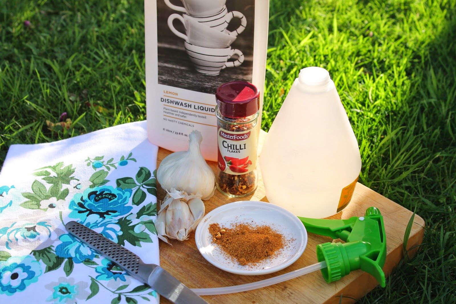 A little bit country For the garden..........chilli and garlic bug spray