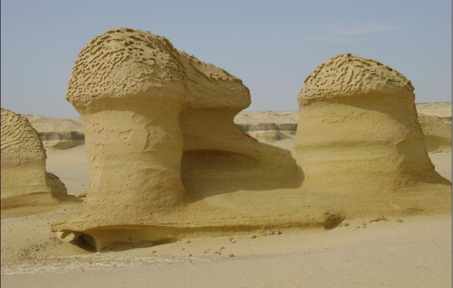 وادي الحيتان - حياة بحرية في قلب الصحراء