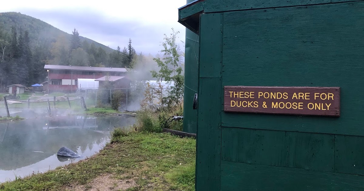 The Quack Pack Hits The Road Chena Hot Springs