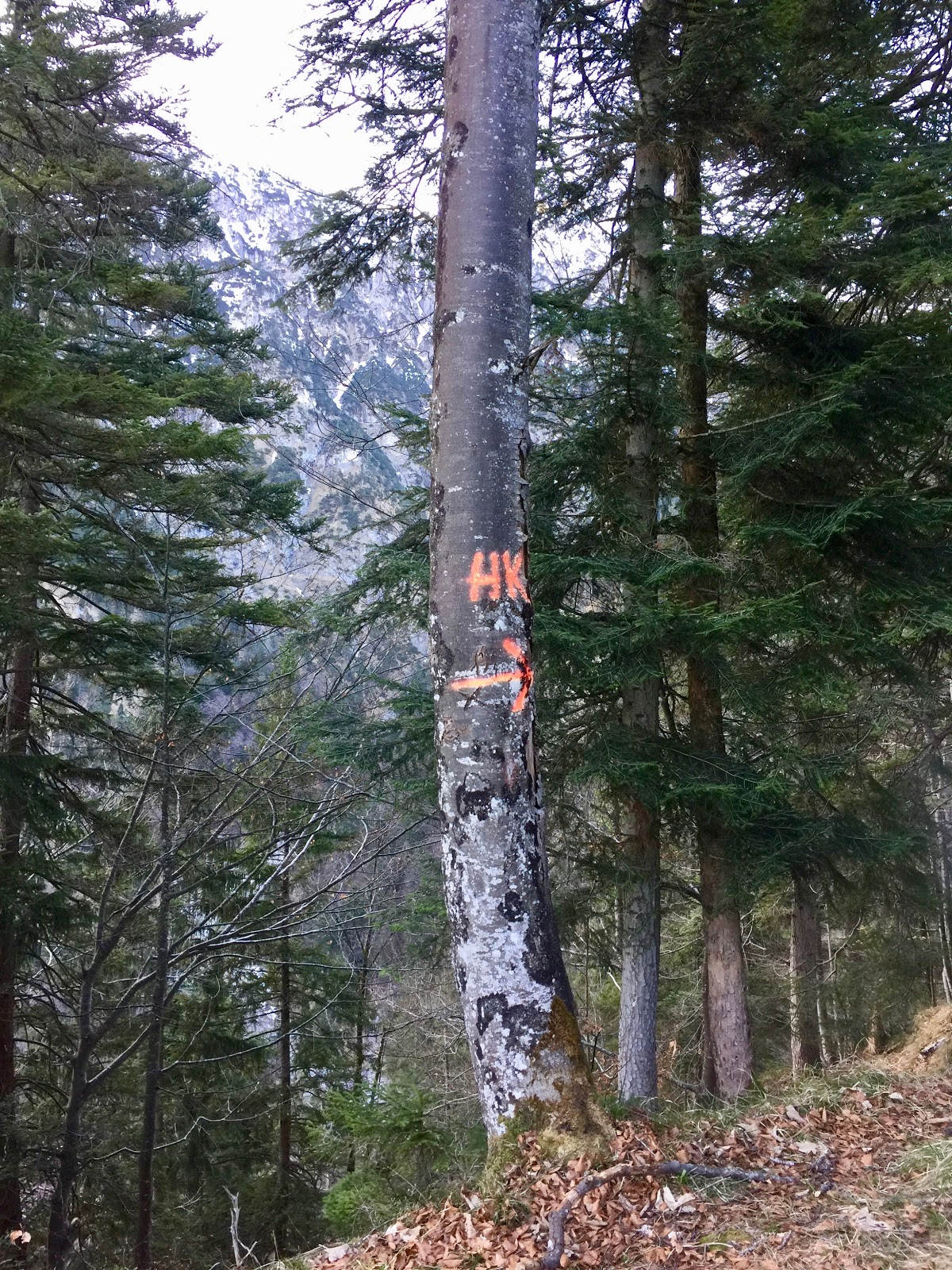 Krxln Zundereck Und Zunderkopf