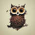 Pic of the Day - Coffee Owl