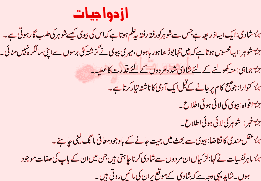 Funny Urdu Jokes And Latifey Funny Urdu Humour Tanz And Mazah And Poetry Or Shayeri Get urdu news alerts in email. funny urdu humour tanz and mazah