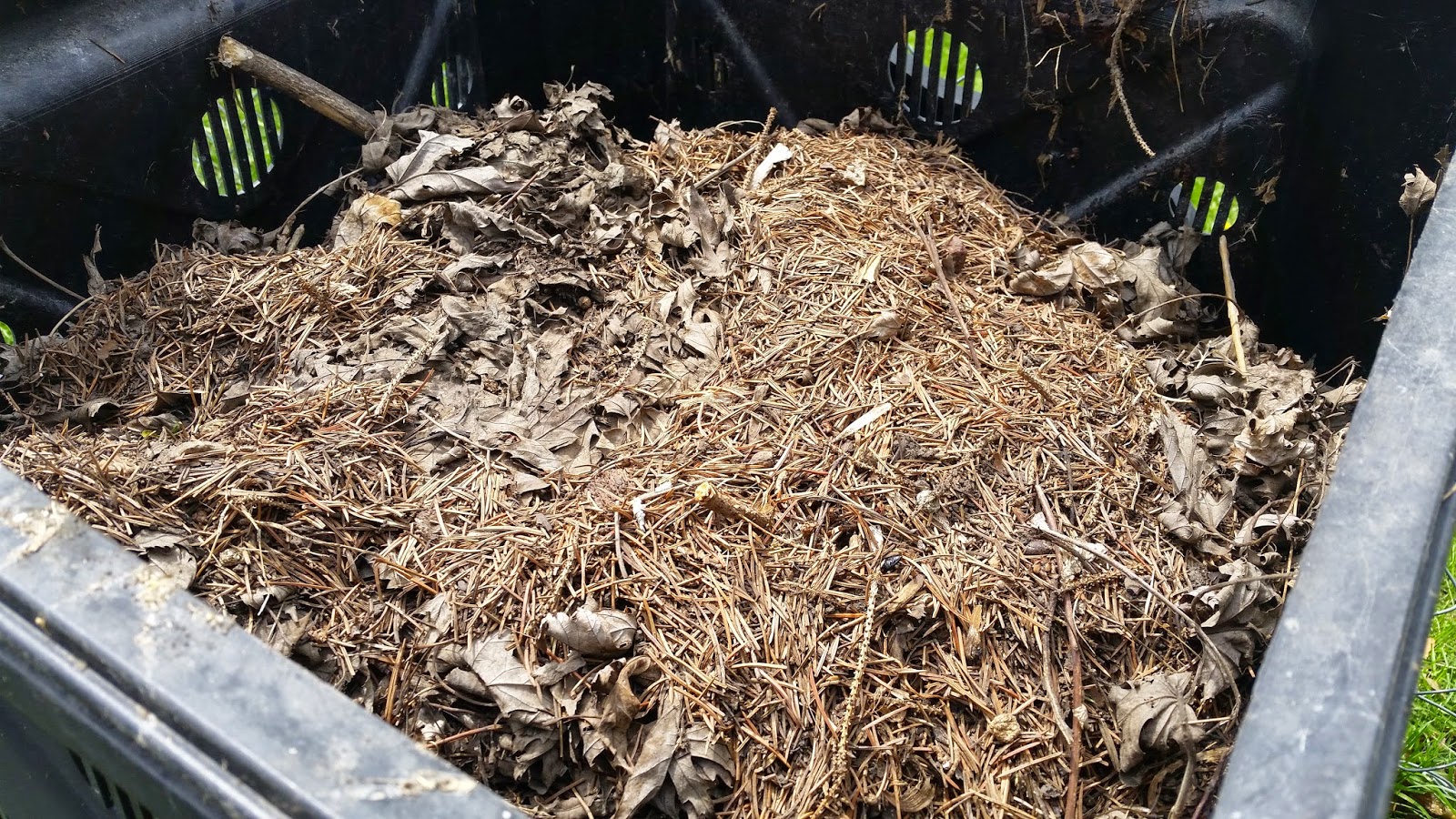 Composting Paper And Grass Clippings