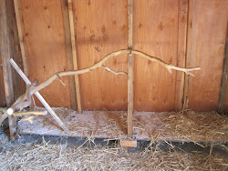 chicken shed coop turn into adventure farm