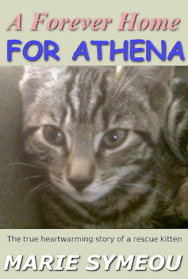 A Forever Home For Athena