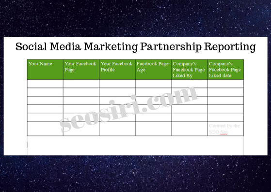 <img source="pic.png" alt="Social Media Marketing Partnership Reporting."</img>.