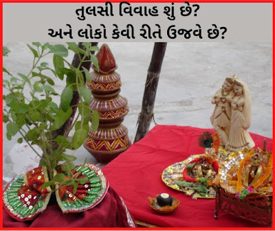 What is Tulsi marriage? And how do people celebrate?