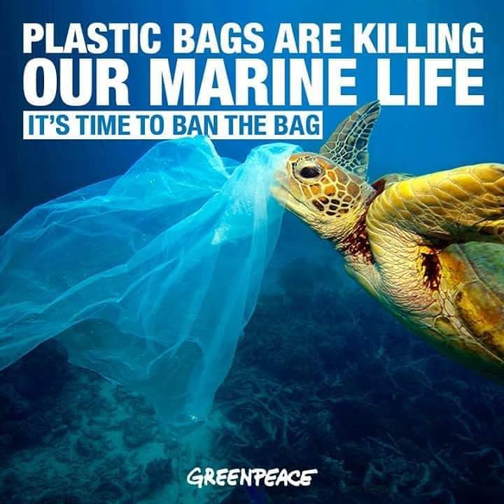 Plastic par Ban ya pratibandh lagana Kyu jaruri hai ? Nibandh Lekhan in