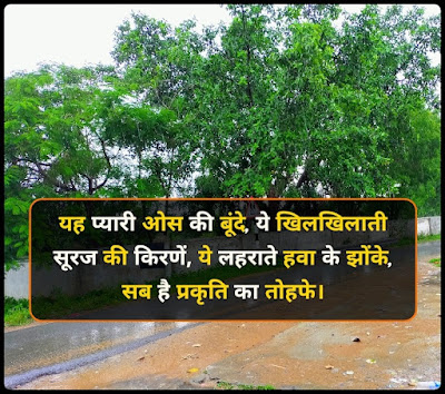 प्रकृति प्रेम पर शायरी - Nature Shayari, Quotes In Hindi प्रकृति प्रेम पर शायरी - Nature Shayari, Quotes In Hindi