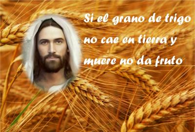 Vivir la Fe Católica: Meditaciones de Cuaresma con textos de Santo