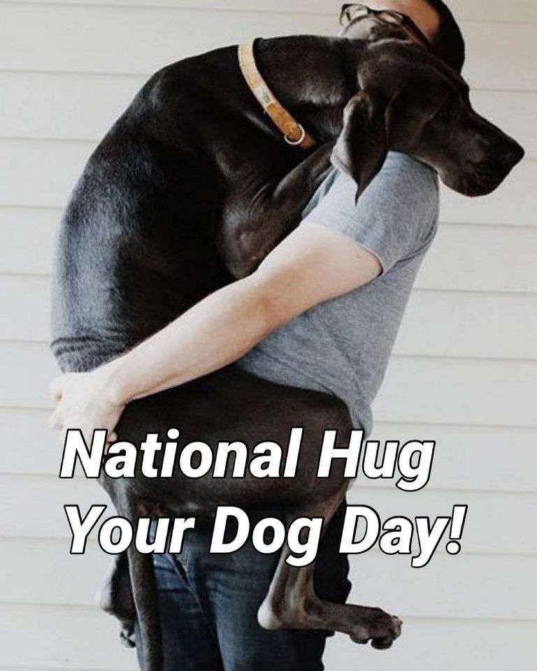 National Hug Your Dog Day Wishes Images Whatsapp Images
