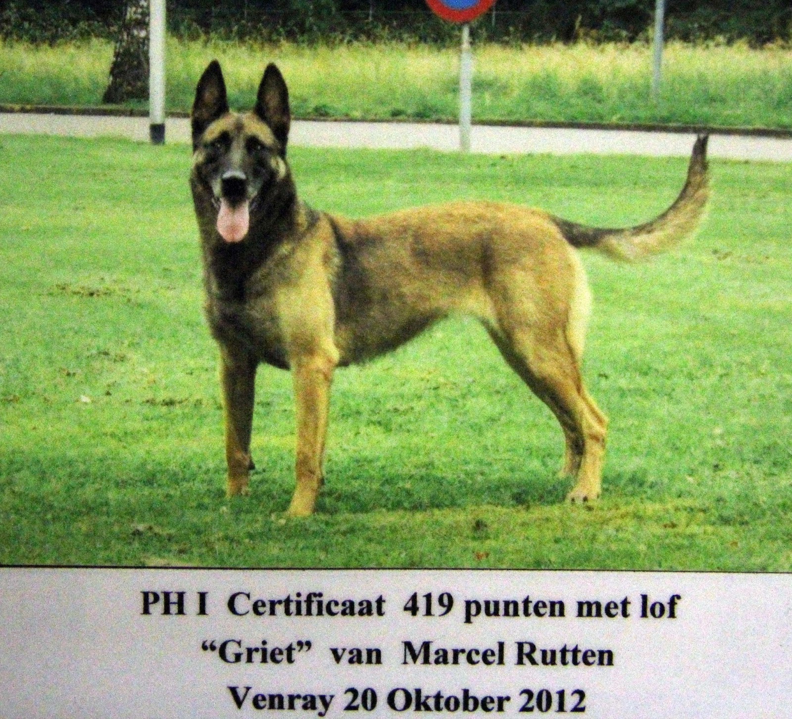 leden PHV Recht Door Zee: Marcel Rutten