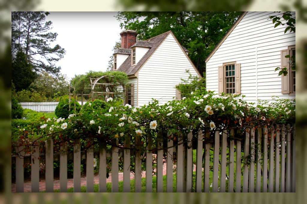 Living In Williamsburg, Virginia Flowers Of Colonial Williamsburg