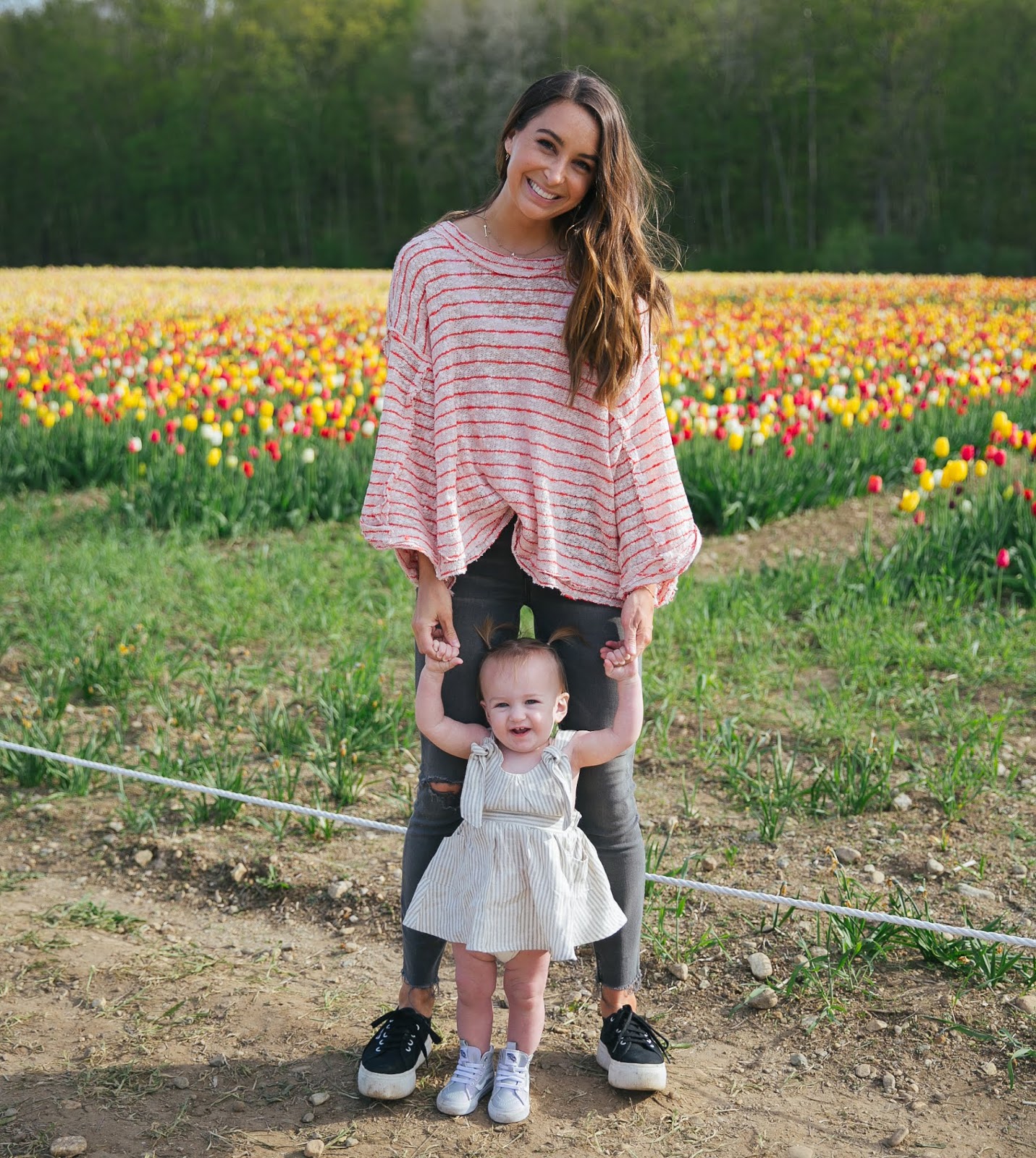 Tulip Picking In Rhode Island After Sundance tulip-picking-in-rhode-island-after-sundance
