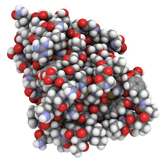 The Next Generation Protein Therapeutics Summit's image depicts Nanobody protein therapeutic molecule