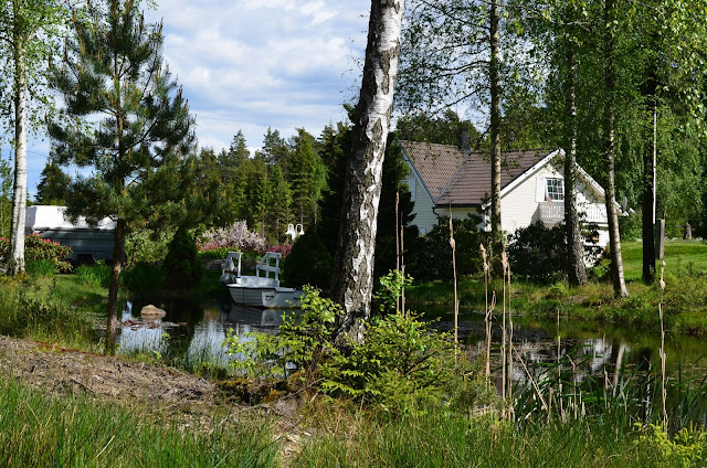 DSC_0001.JPG