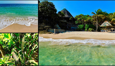 #payabay, #payabayresort, paya bay resort, bliss beach, flora, nature, beauty, 