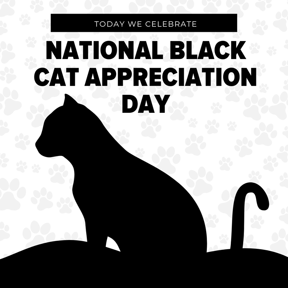 National Black Cat Appreciation Day