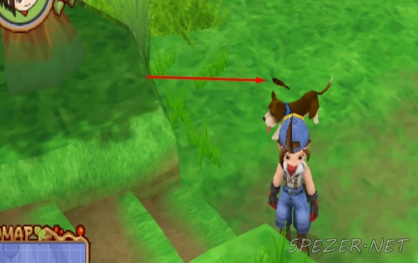 11 Lokasi Power Berry Di Game Harvest Moon Hero Of Leaf Valley Spezer Net