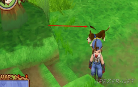 Lokasi Power Berry 10 Lokasi Power Berry 10 HM HoLV - PSP Android