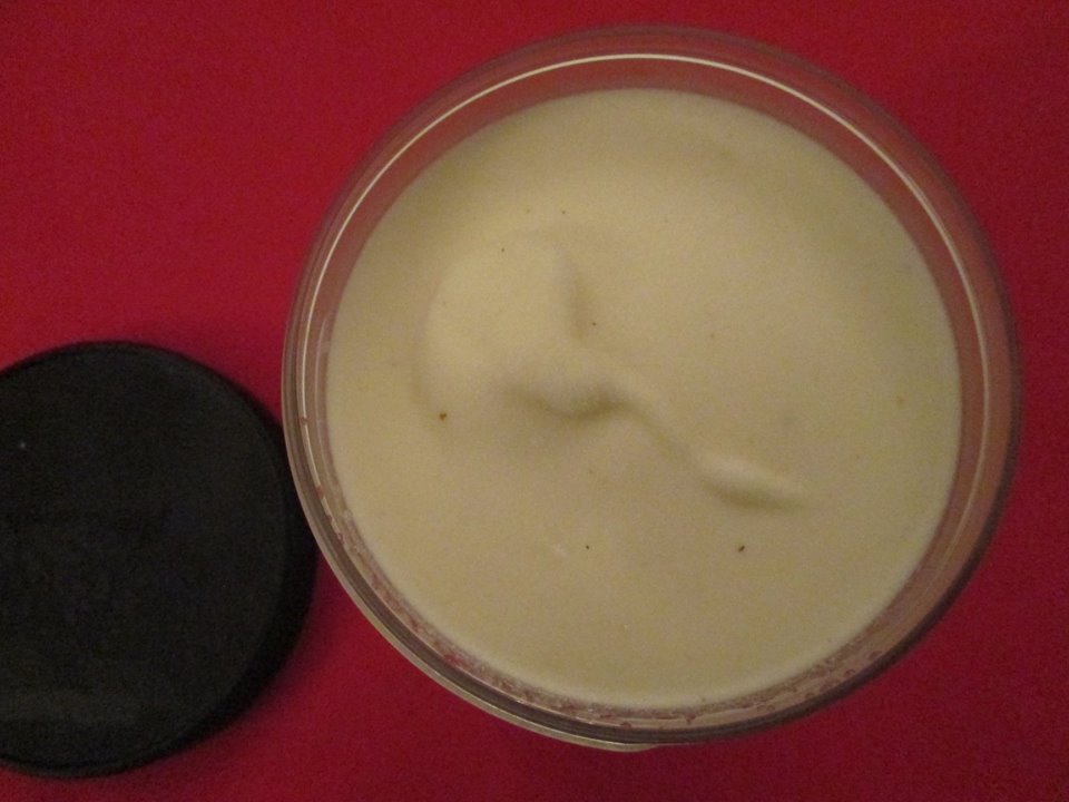 David's Ice Cream Reviews Talenti Old World Egg Nog