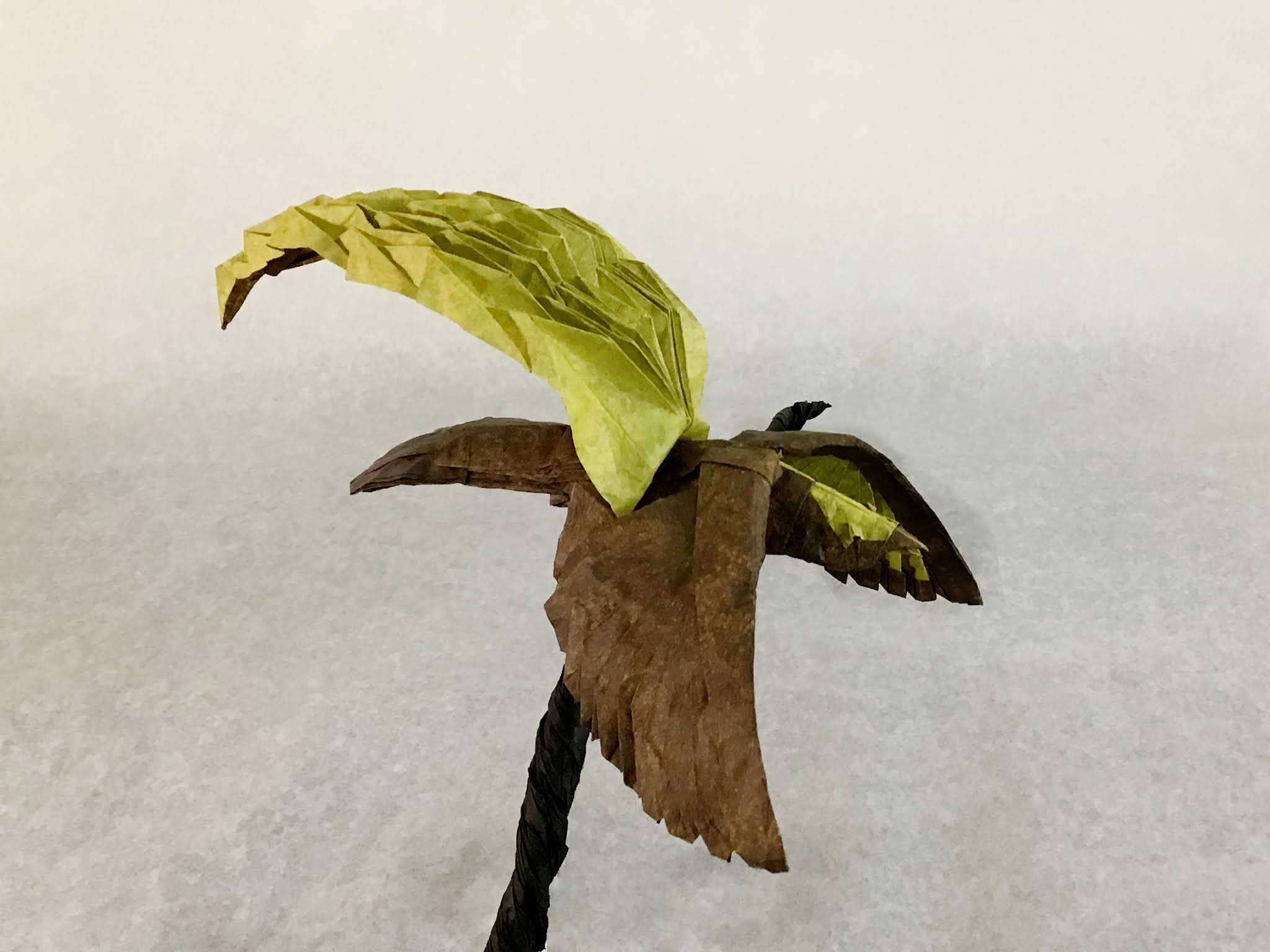 Origami Bird of Paradise