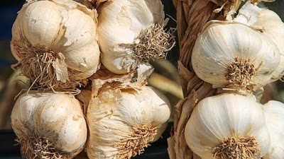 10-Obat-Herbal-Untuk-Asma-Berikut-Cara-Pengolahannya herbal-untuk-asma