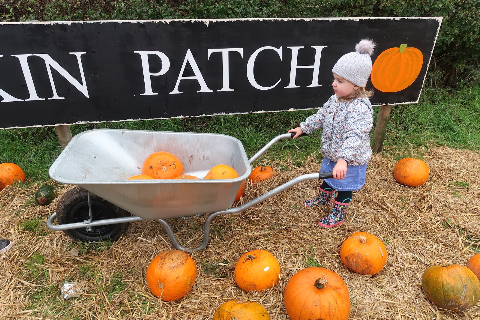 Uncoventional Kira PUMPKIN PATCH WHEELOCK FARM 2019