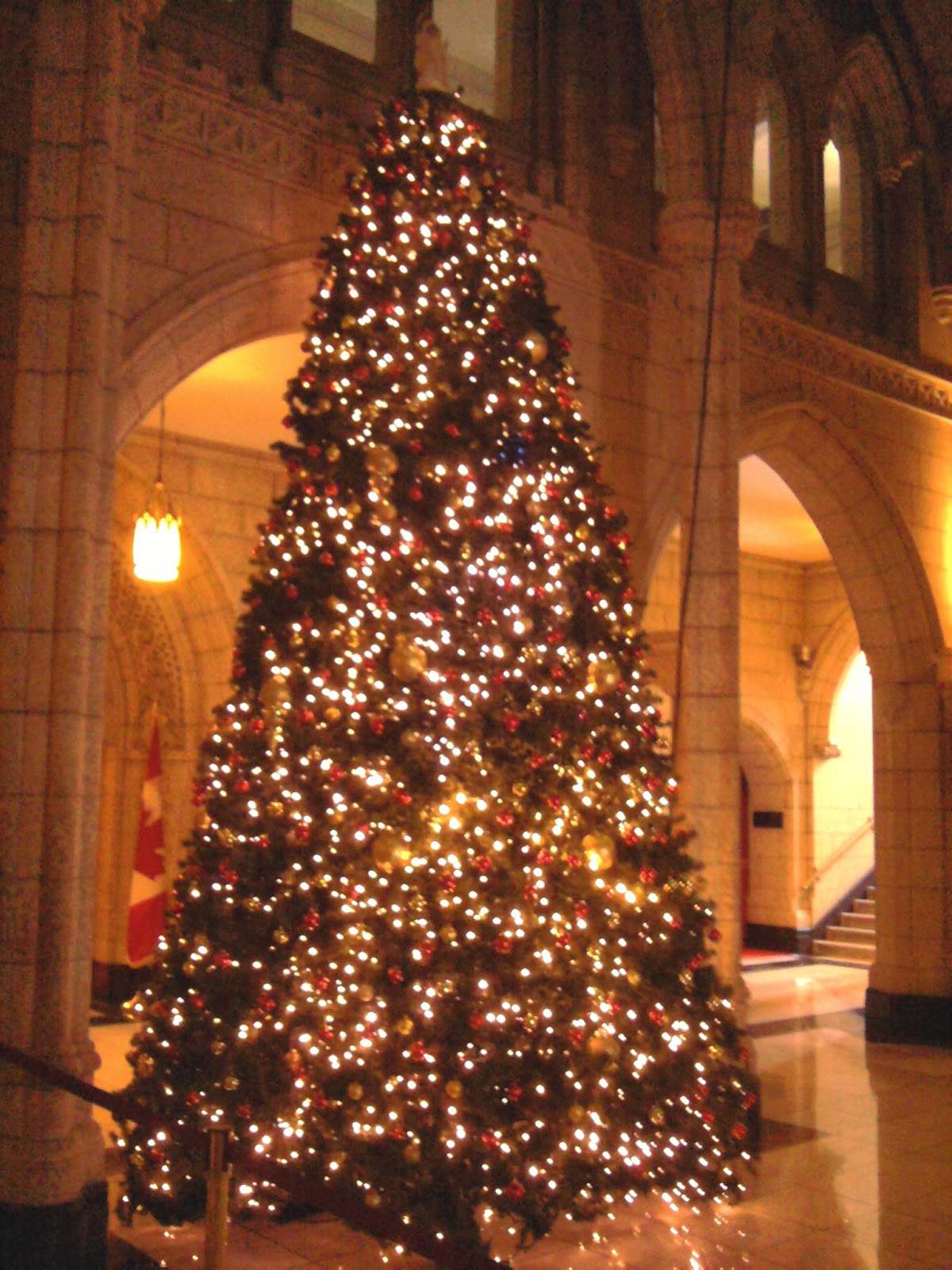 Ottawa Daily Photo Twas The Night Before Christmas