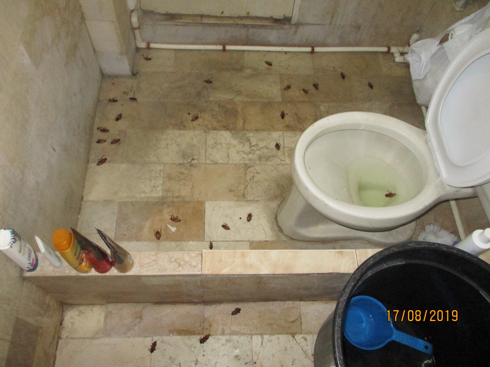 Getting Trapped in a Bathroom