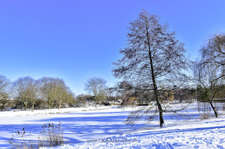 Schneelandschaft Winterwonderland Hamm