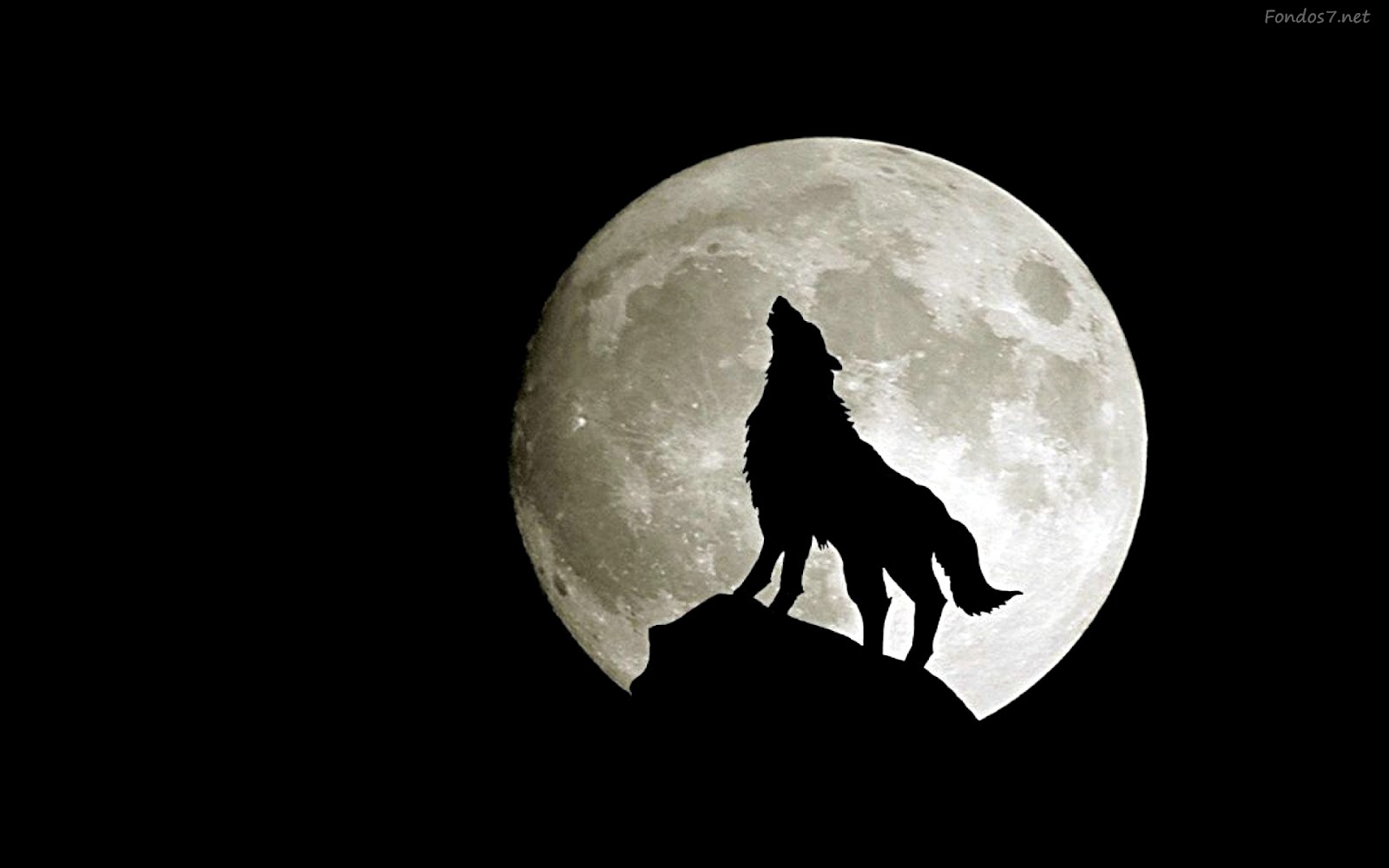 Lobos Aullando A La Luna Animados Imagui