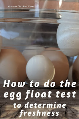 How to - float test eggs