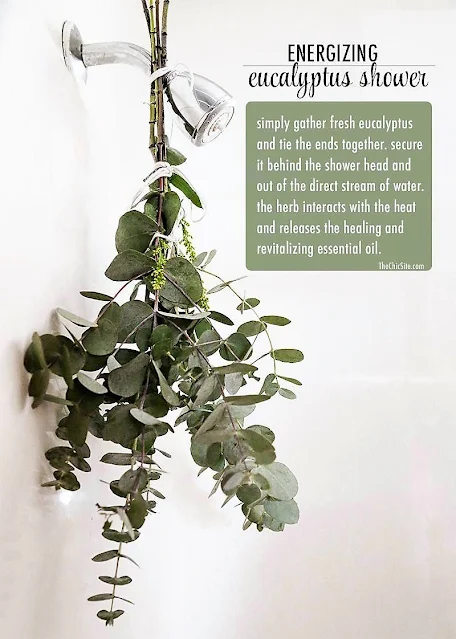 Eucalyptus shower