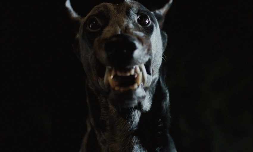 ZOLTAN, O CÃO VAMPIRO DE DRÁCULA (DUAL ÁUDIO1080P) – 1977 FormatFactorycap_Draculas%2BDog%2B%255B1977%255D%2BLegendado%2B%25281%2529_00_47_17_07