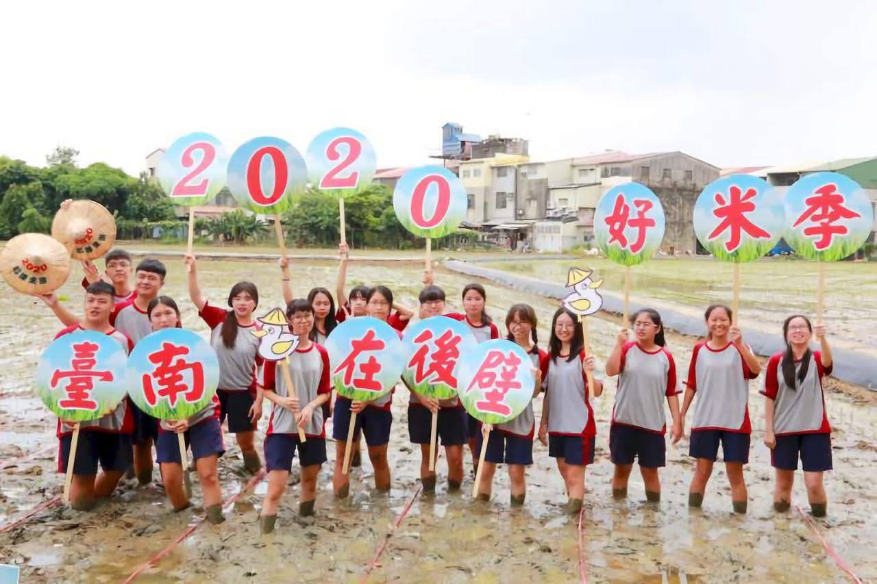 2020台南好米季10/1登場|來後壁區農會「呷好米」觀賞美麗的彩繪稻田|活動