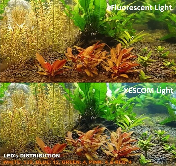 LED Lights Unbox, Setup & Review