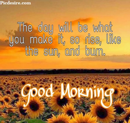 50 Beautiful Good Morning Quotes and Saying 50 Beautiful Good Morning Quotes and Saying