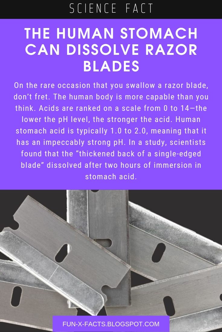 Science fact The human stomach can dissolve razor blades Amazing WTF