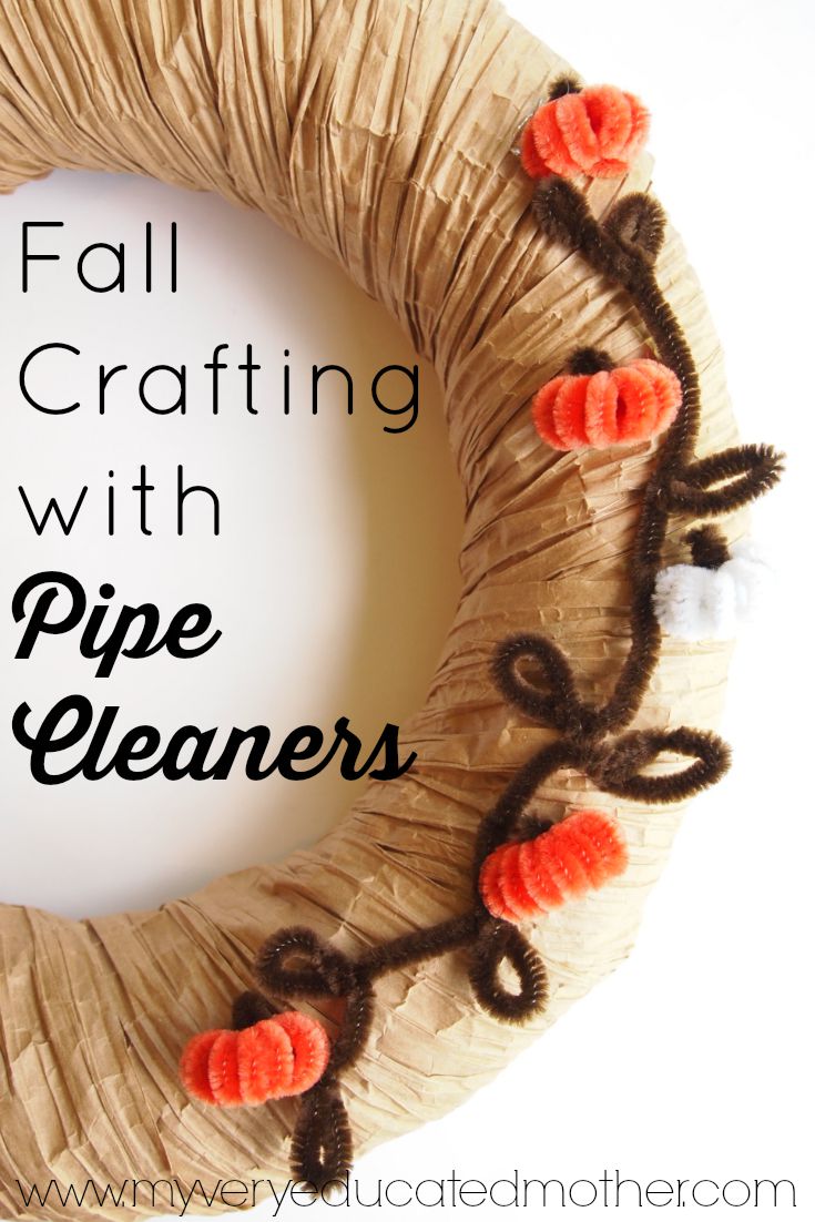 Fall Crafting with Pipe Cleaners