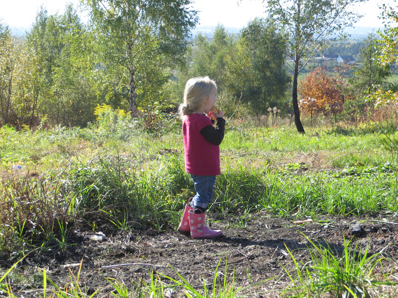 The Road to Poland Building a House in Poland, Step 1 Buying land