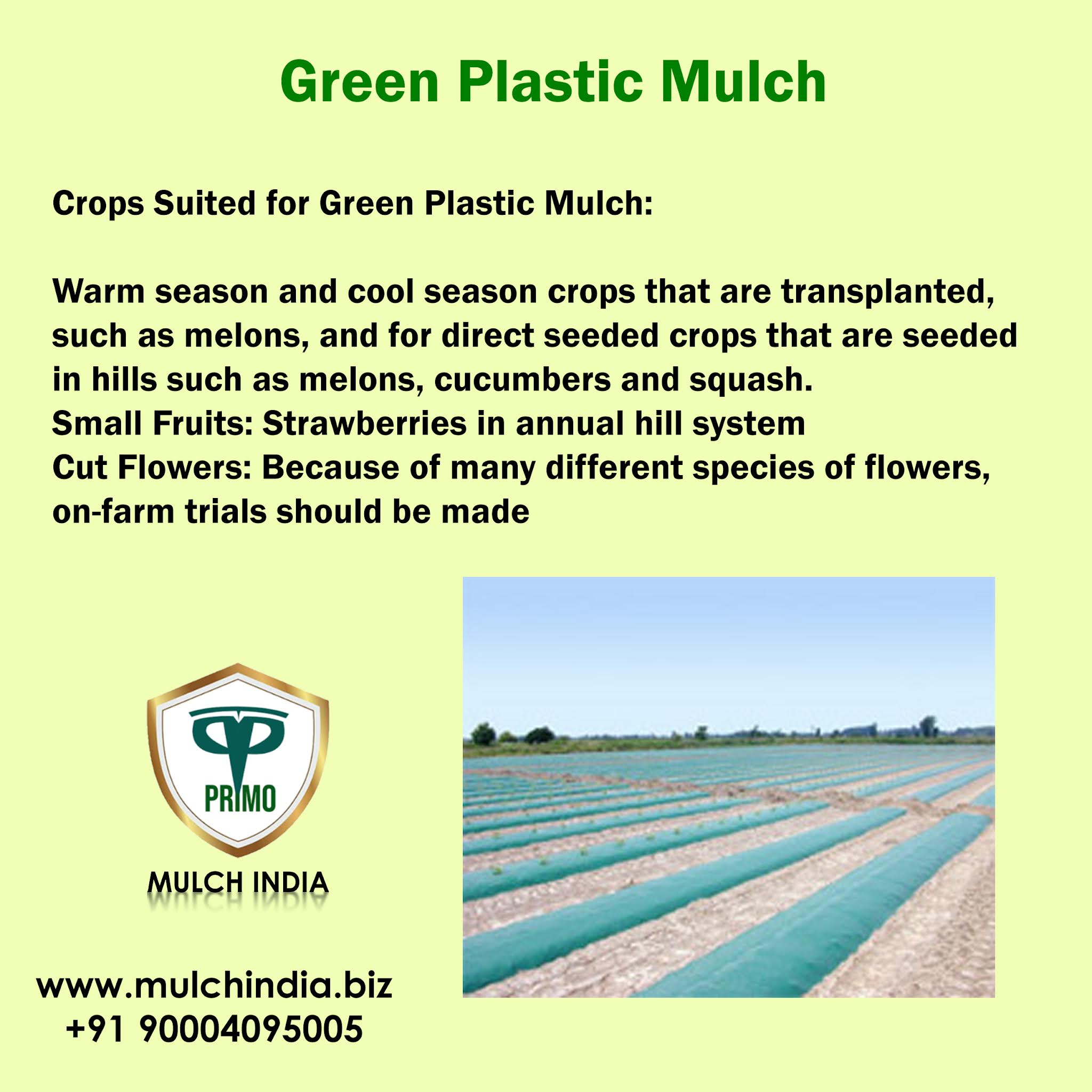 MulchIndia Green Plastic Mulch Mulch India Call+𝟵𝟭 𝟵𝟬𝟬𝟬𝟰𝟵𝟱𝟬𝟬𝟱 www