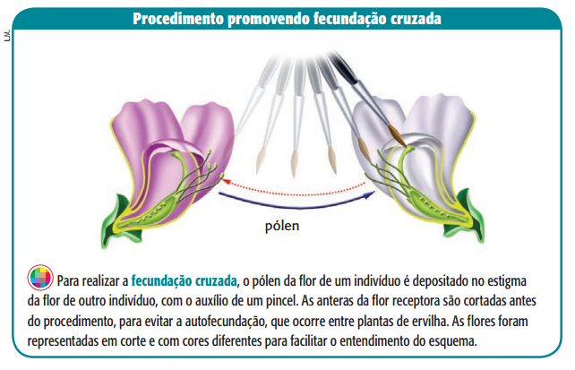 Me Salva Terceirão